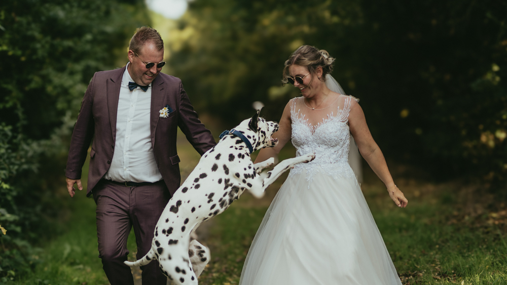 after wedding shooting halde norddeutschland paarshooting niederrhein